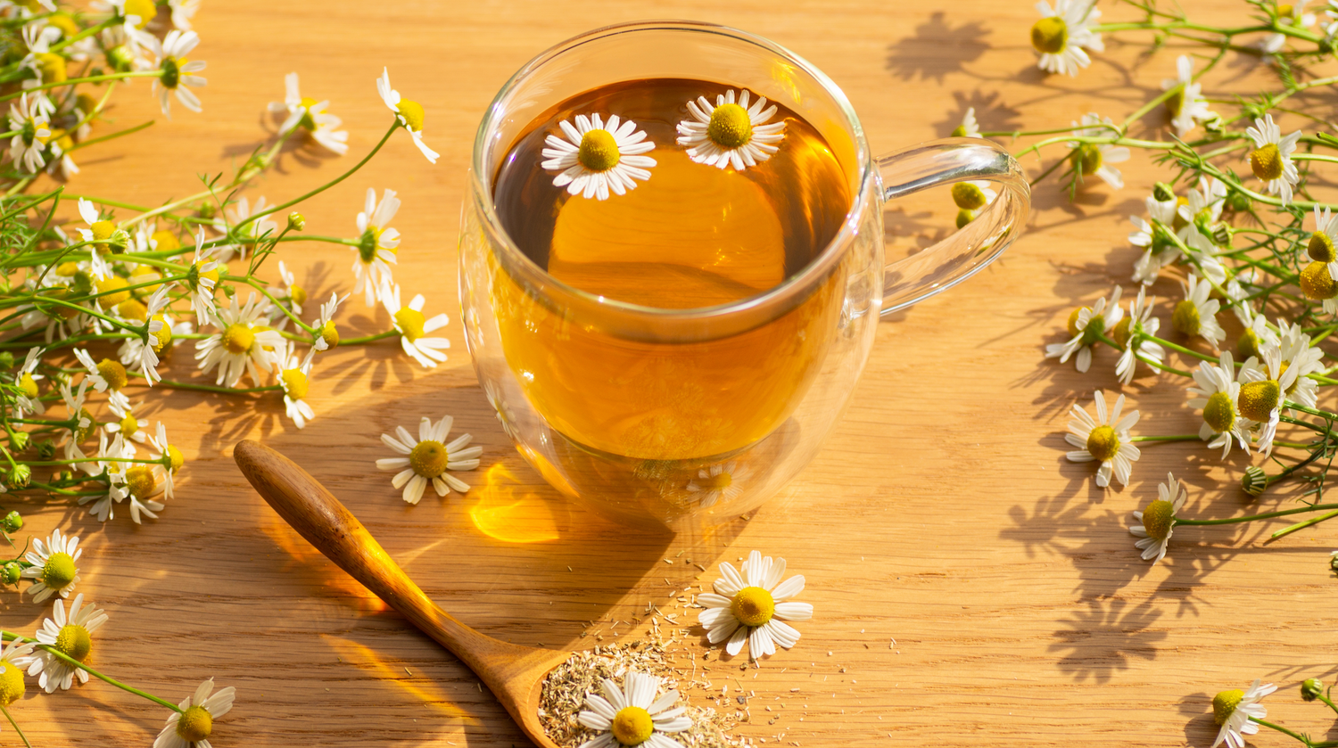 La Camomille : Ses bienfaits pour la santé féminine